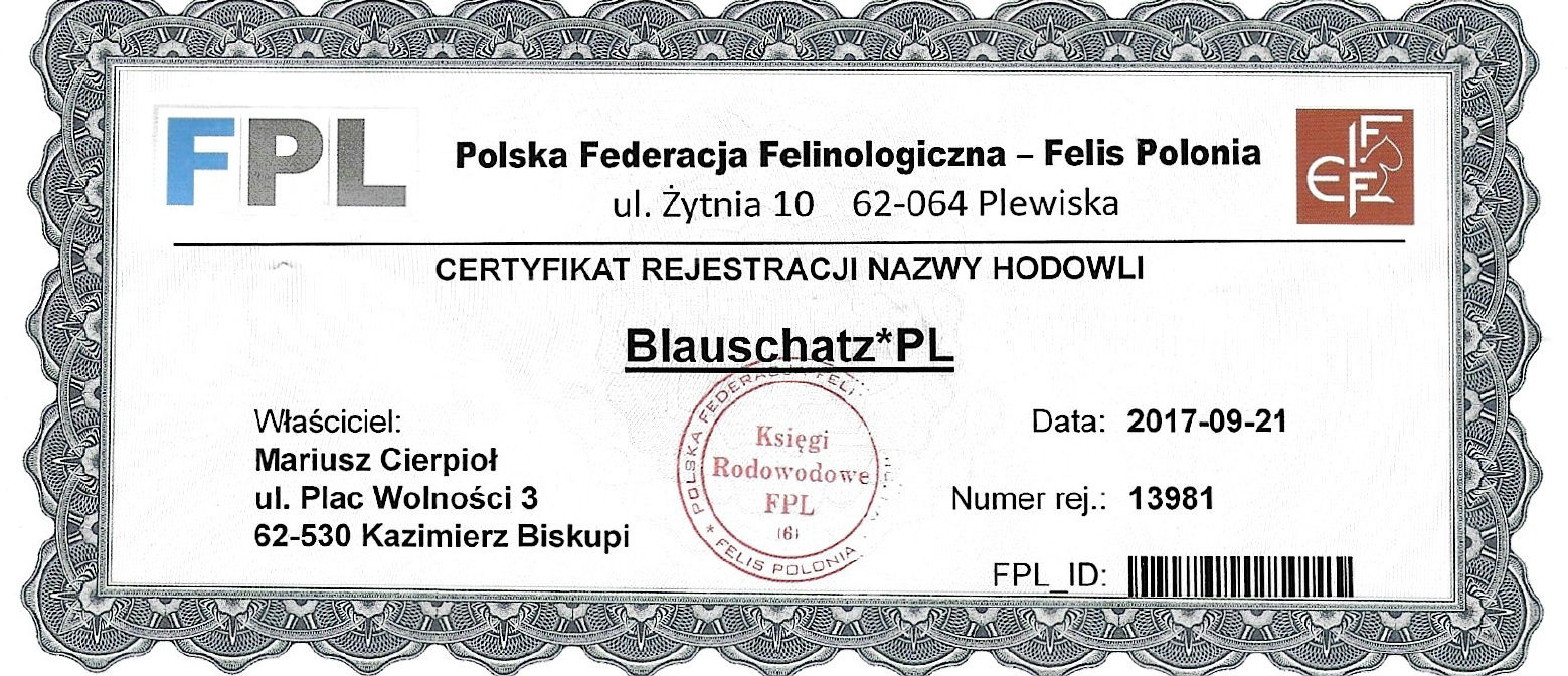 przydomek